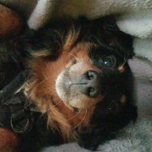 Meet your Posher, Richard